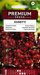 Sweet William Dunetti Seeds